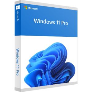 Microsoft Windows 11 PRO Licenca