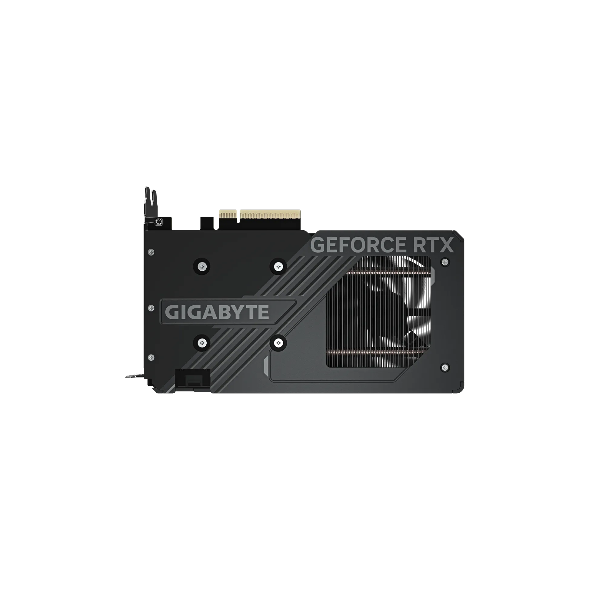 Gigabyte RTX 5060 WINDFORCE OC 8G Backplate