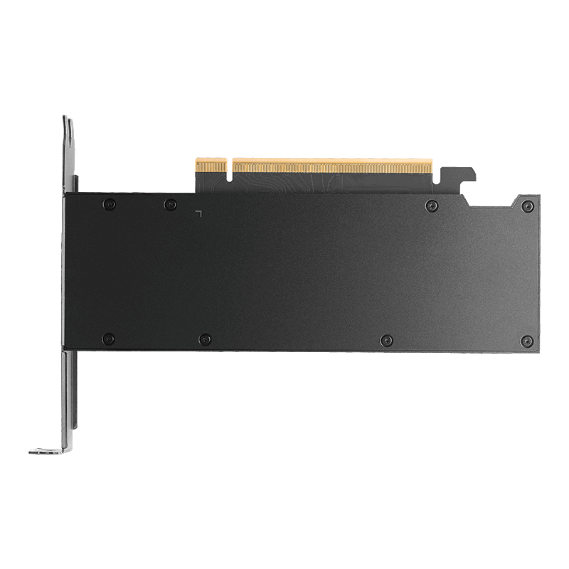 NVIDIA RTX PRO 2000 Blackwell 16GB Backplate